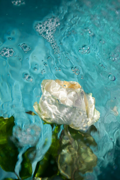 Peace - a Photographic Art Artowrk by Katherine Grace